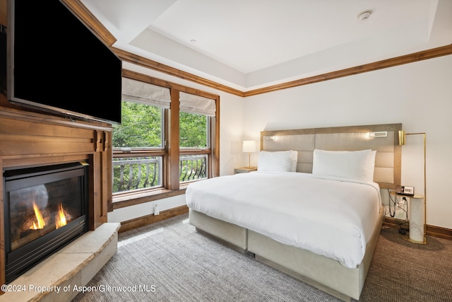 415 E Dean St Week 7 St, Aspen, CO 81611 - bedroom with a glass covered fireplace and carpet flooring