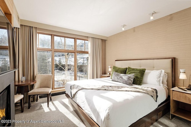 bedroom featuring carpet floors