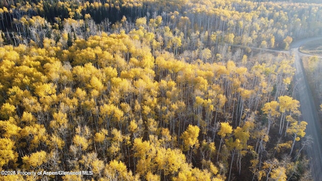 1136 Dipper Dr, Craig, CO 81625 - bird's eye view of a forest