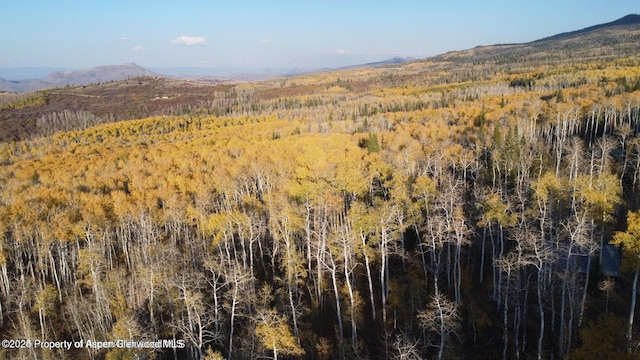 1136 Dipper Dr, Craig, CO 81625 - mountain view with a forest