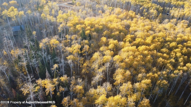 1136 Dipper Dr, Craig, CO 81625 - drone / aerial view of a forest