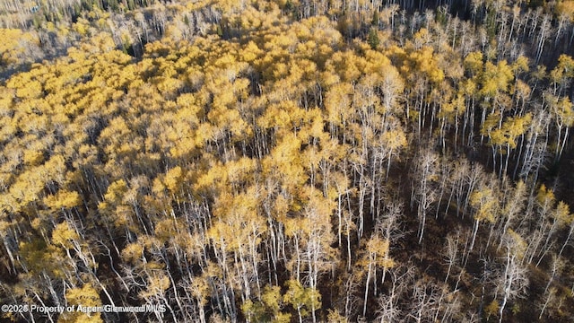1136 Dipper Dr, Craig, CO 81625 - view of property location