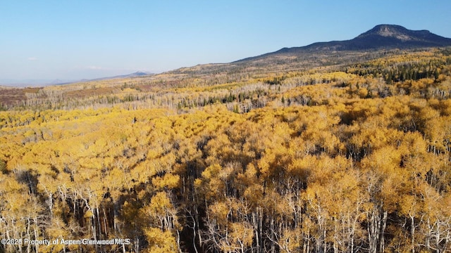 1136 Dipper Dr, Craig, CO 81625 - view of mountain background featuring a forest