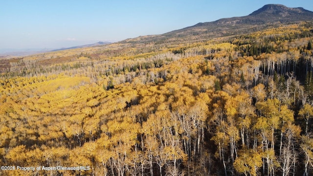 1136 Dipper Dr, Craig, CO 81625 - mountain view with a heavily wooded area
