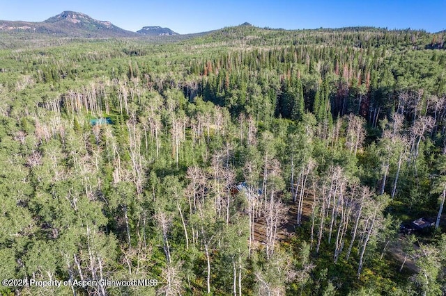 1136 Dipper Dr, Craig, CO 81625 - mountain view with a forest