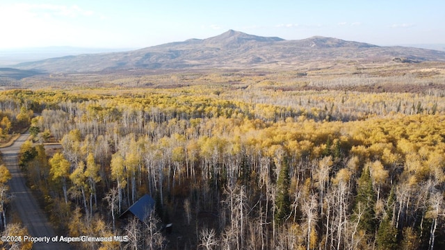 1136 Dipper Dr, Craig, CO 81625 - view of mountain background featuring a heavily wooded area