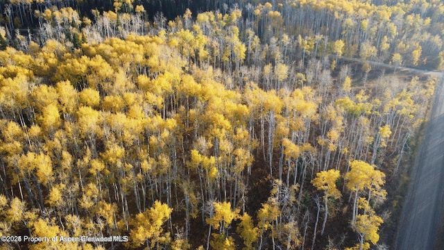 1136 Dipper Dr, Craig, CO 81625 - aerial view of a heavily wooded area