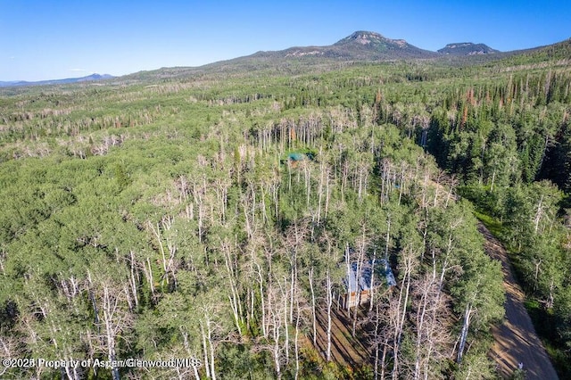 1136 Dipper Dr, Craig, CO 81625 - bird's eye view of a forest and a mountain backdrop