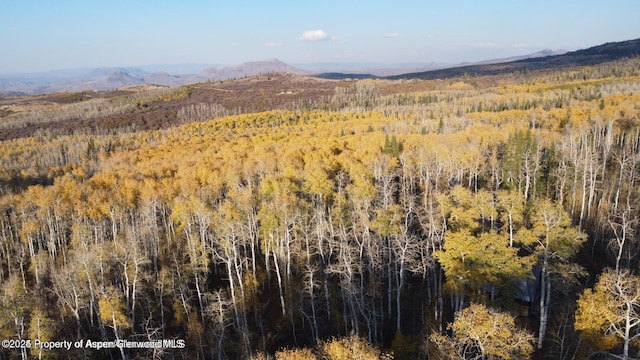 1136 Dipper Dr, Craig, CO 81625 - view of mountain backdrop featuring a heavily wooded area