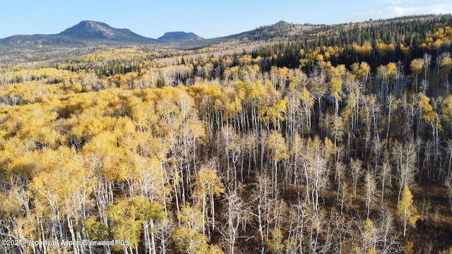 1136 Dipper Dr, Craig, CO 81625 - view of mountain backdrop with a heavily wooded area