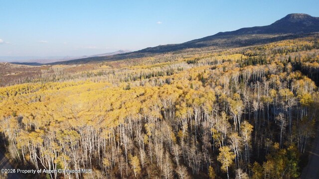 1136 Dipper Dr, Craig, CO 81625 - view of mountain backdrop featuring a heavily wooded area