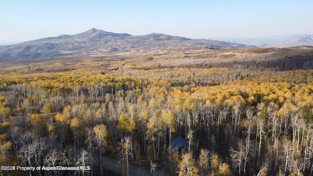 1136 Dipper Dr, Craig, CO 81625 - mountain view featuring a forest