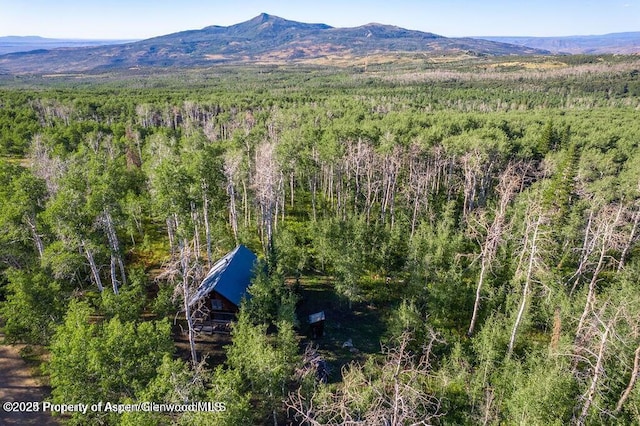 1136 Dipper Dr, Craig, CO 81625 - aerial view of property and surrounding area with a forest and a mountain backdrop