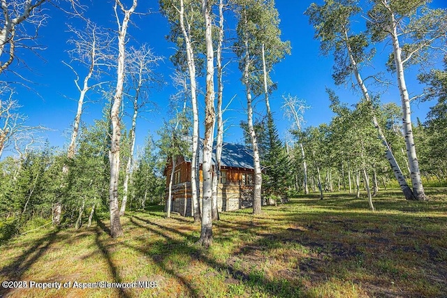 1136 Dipper Dr, Craig, CO 81625 - view of yard with a wooded view