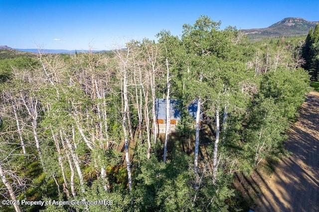 1136 Dipper Dr, Craig, CO 81625 - drone / aerial view of a heavily wooded area and a mountainous background