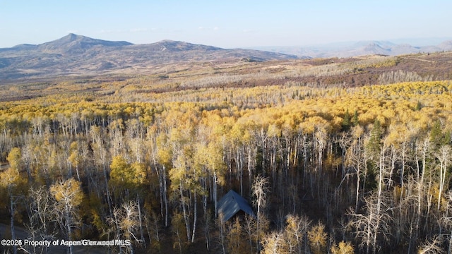1136 Dipper Dr, Craig, CO 81625 - mountain view with a heavily wooded area