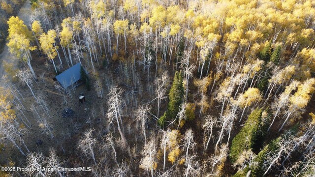 1136 Dipper Dr, Craig, CO 81625 - aerial view