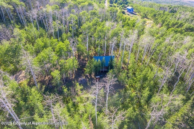 1136 Dipper Dr, Craig, CO 81625 - view from above of property with a heavily wooded area
