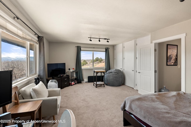 222 Fawn Dr, Carbondale, CO 81623 - photo 13