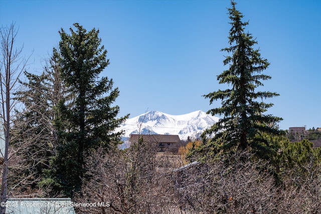 222 Fawn Dr, Carbondale, CO 81623 - photo 30