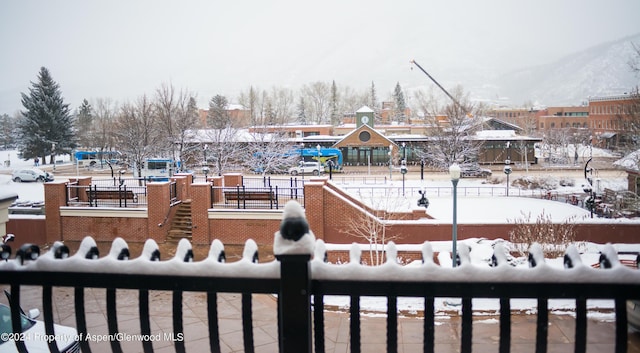 view of yard covered in snow