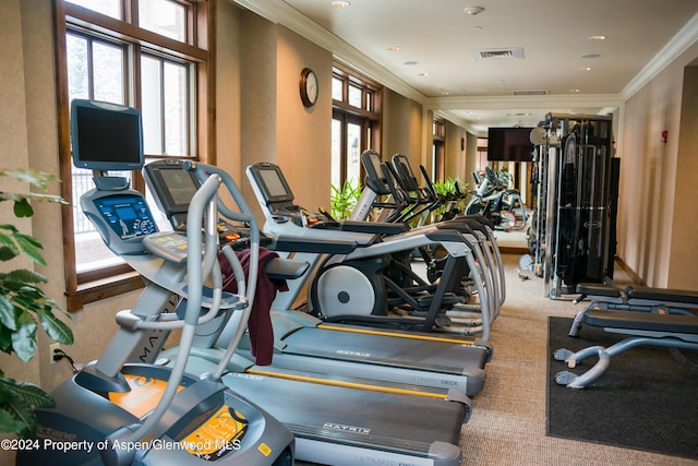 exercise room featuring a healthy amount of sunlight and crown molding