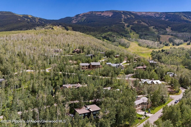 drone / aerial view featuring a mountain view