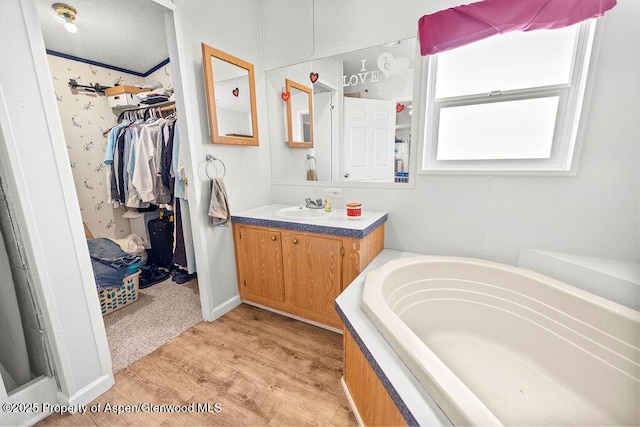 bathroom featuring vanity, a bath, wood finished floors, and a walk in closet