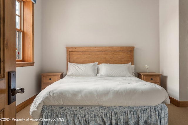 bedroom with carpet floors