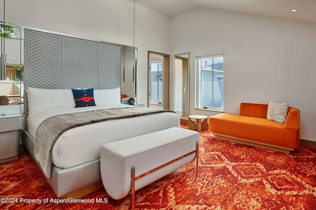 550 S Spring St Unit F3-8, Aspen, CO 81611 - photo 14