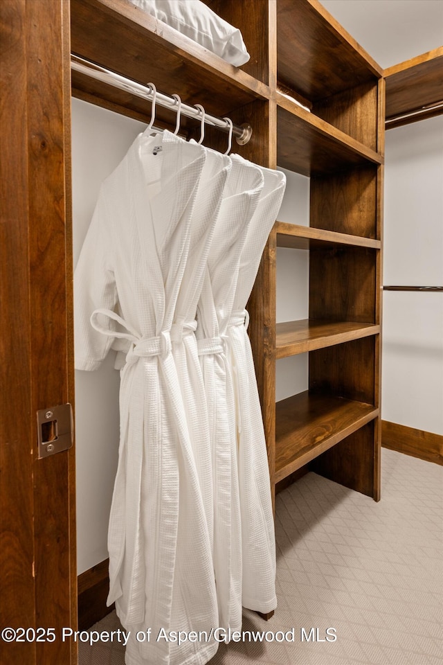 walk in closet with carpet floors