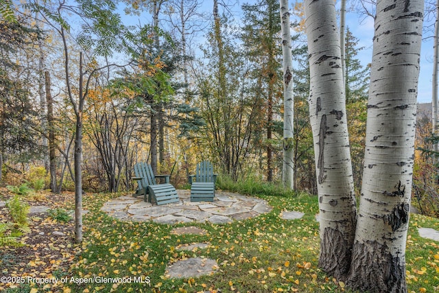 view of yard featuring a patio