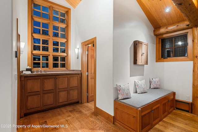 hall with a baseboard radiator, sink, high vaulted ceiling, and light hardwood / wood-style flooring