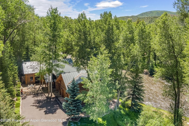 408 Gerbaz Way, Snowmass, CO 81654 - view of subject property featuring a heavily wooded area and a mountainous background