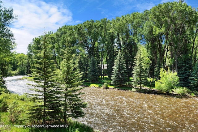 408 Gerbaz Way, Snowmass, CO 81654 - view of woods
