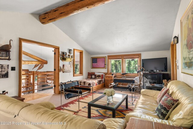 408 Gerbaz Way, Snowmass, CO 81654 - living room with carpet flooring