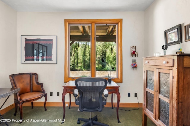 408 Gerbaz Way, Snowmass, CO 81654 - office featuring carpet floors
