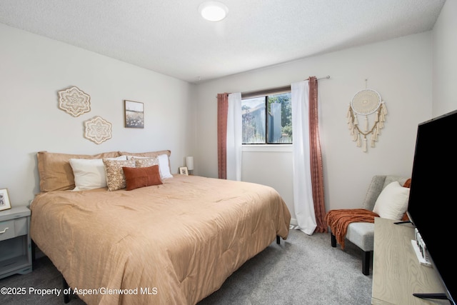 10 Spruce Ct, Parachute, CO 81635 - view of carpeted bedroom