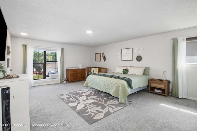 10 Spruce Ct, Parachute, CO 81635 - bedroom with carpet flooring, recessed lighting, and a textured ceiling