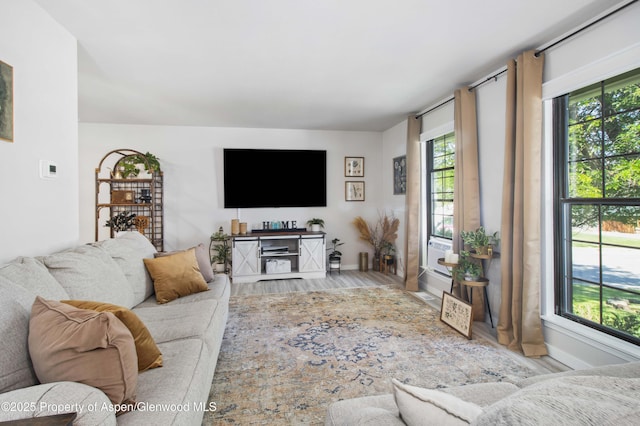 10 Spruce Ct, Parachute, CO 81635 - living area with wood finished floors and plenty of natural light