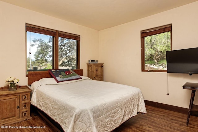 222 Crest Point Dr, Carbondale, CO 81623 - bedroom featuring dark hardwood / wood-style flooring