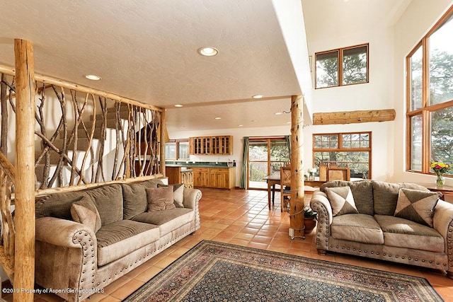 222 Crest Point Dr, Carbondale, CO 81623 - living room with light tile patterned floors and a textured ceiling