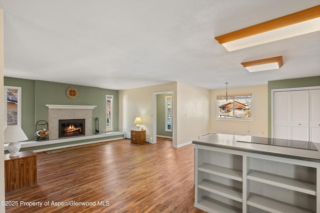 living room featuring wood-type flooring and a baseboard heating unit