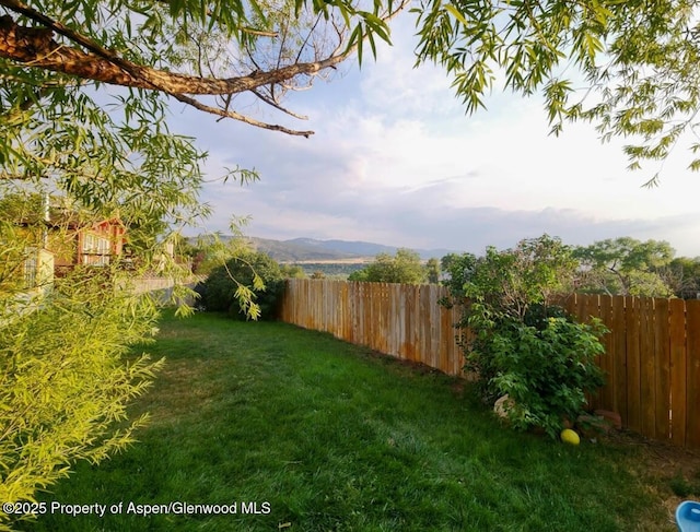 545 Will Ave, Rifle, CO 81650 - photo 51