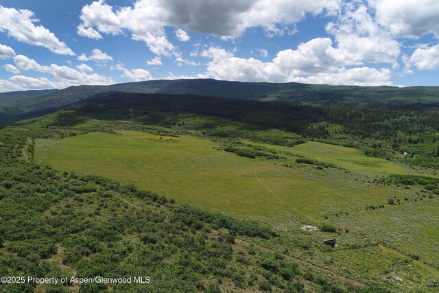 27112833 County Road 117, Glenwood Springs, CO 81601 - photo 39