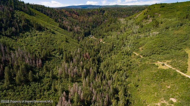 27112833 County Road 117, Glenwood Springs, CO 81601 - photo 15