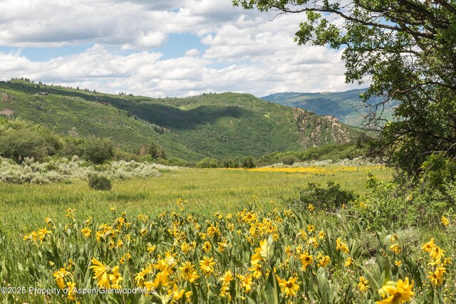 27112833 County Road 117, Glenwood Springs, CO 81601 - photo 47