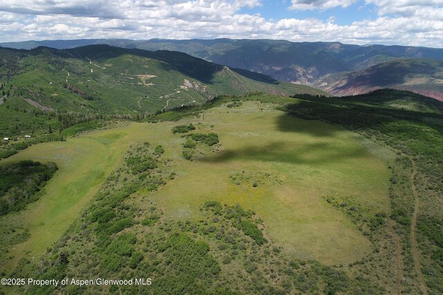 27112833 County Road 117, Glenwood Springs, CO 81601 - photo 10