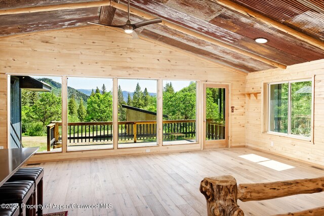 27112833 County Road 117, Glenwood Springs, CO 81601 - photo 22