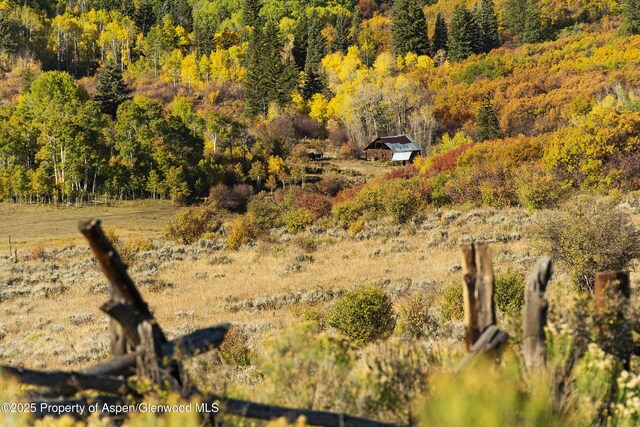 27112833 County Road 117, Glenwood Springs, CO 81601 - photo 35